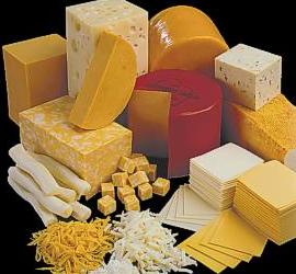 Gouda Cheese