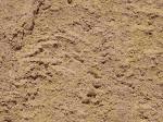 Grain of Sand